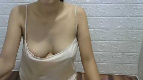 wet_fussy @ chaturbate on 20240410