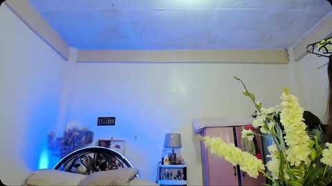 kitty_kellytsx @ chaturbate on 20240621