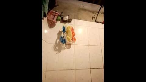 ori22wet @ stripchat on 20240322