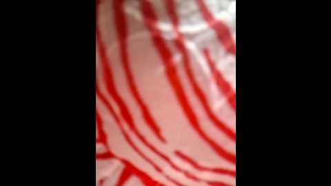 mia_khalifaxx @ stripchat on 20240428
