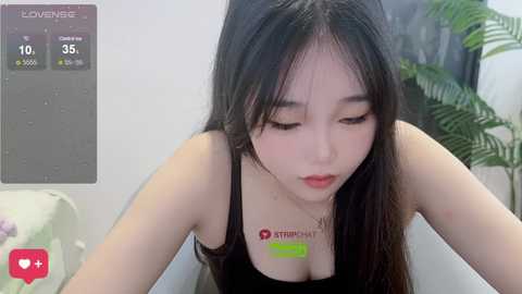 nora_x168 @ stripchat on 20240510