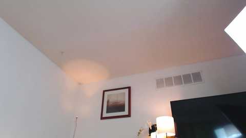 sweetpulse @ stripchat on 20240529